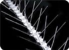 Wall Spike Fences 
